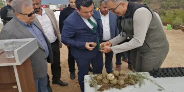 Karbon zengini tohumlar toprakla buluşturuldu