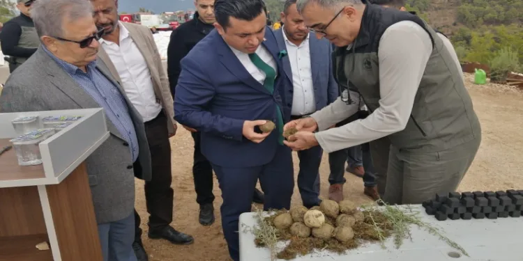 Karbon zengini tohumlar toprakla buluşturuldu