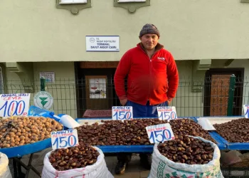 Taziye Evi projesinde ilk kepçe vuruldu