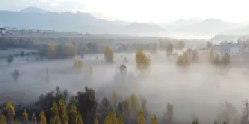 ‘Sis’ şöleni