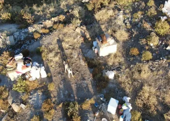 Besicinin çadırının üstünde dron gören köpek