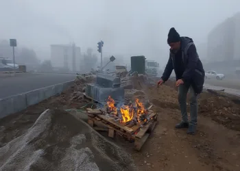 Erzurum buz kesti, sis şehri örttü