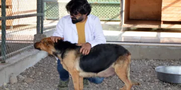Bu köydeki tarım halen karasabanla yapılıyor