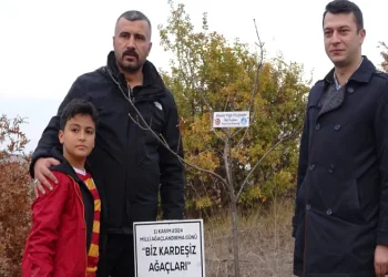 Hatıra ormanına çınar fidanı diktiler