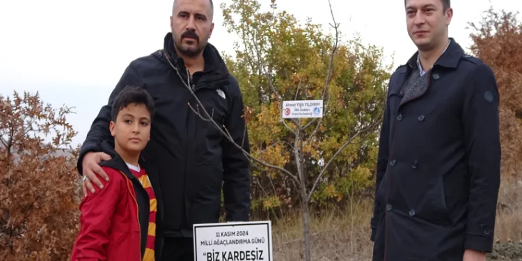 Hatıra ormanına çınar fidanı diktiler
