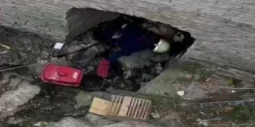 Çatıda akbabayı görenler telefona sarıldı