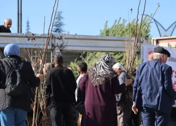 Vatandaşlara 23 bin adet ücretsiz fidan dağıtıldı