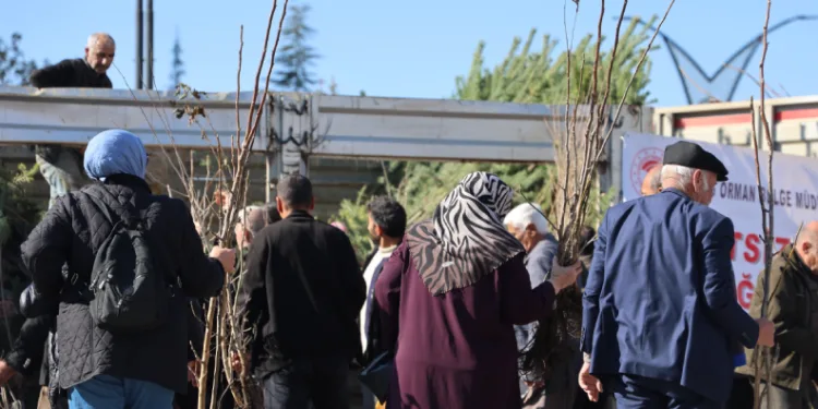 Vatandaşlara 23 bin adet ücretsiz fidan dağıtıldı