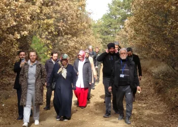KOAH ve astım hastalarına özel yürüyüş