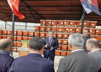 Arı üreticilerine büyük destek