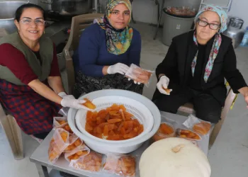 Bal kabakları kadınlara umut