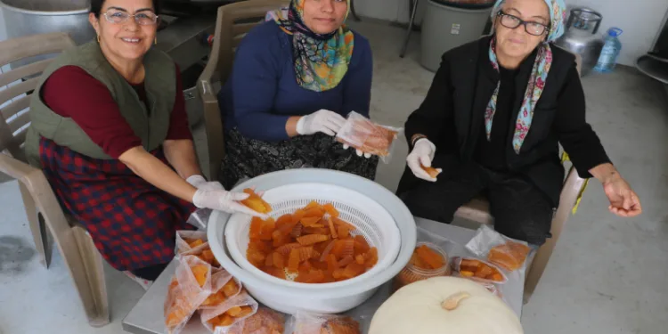 Bal kabakları kadınlara umut