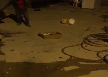 Çekmeceye giren yılan