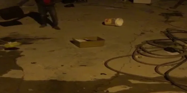 Çekmeceye giren yılan