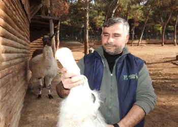 Bin 100 doğum sevinci yaşandı
