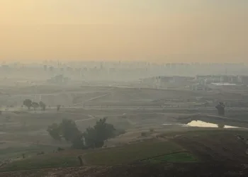 Adana’da sis etkisi