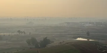 Adana’da sis etkisi