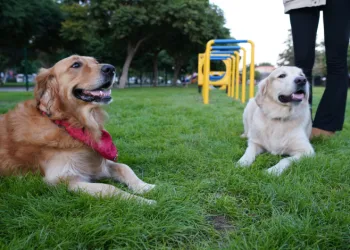Geri dönüşüm malzemelerinden Park