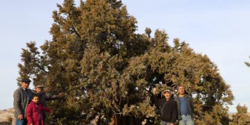 9 asırdır hiç solmadı