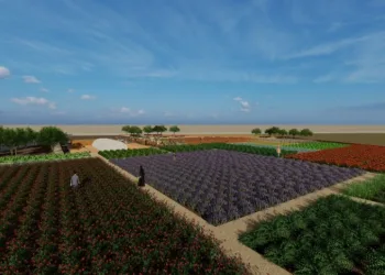 Tıbbi ve aromatik bitki bahçesi oluşturuluyor