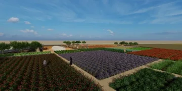 Tıbbi ve aromatik bitki bahçesi oluşturuluyor