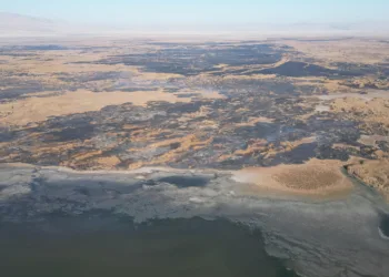 Denizlerden 7 milyon litre pis su toplandı