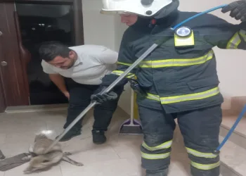 Göldeki yangınlar felakete sebep oldu