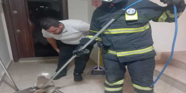 Göldeki yangınlar felakete sebep oldu