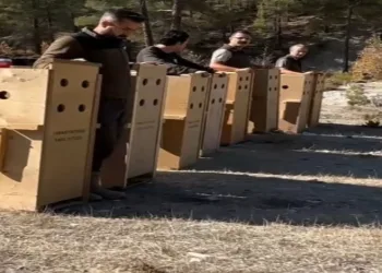 ‘Çöp saati’ uygulaması