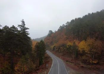Sisler içindeki güz renkleri drone ile görüntülendi