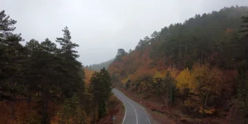 Sisler içindeki güz renkleri drone ile görüntülendi