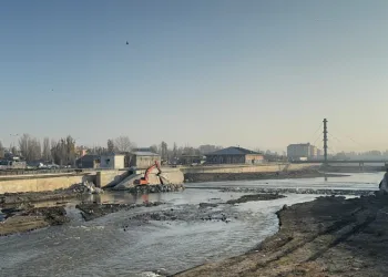 Ağrı’da don etkili oldu