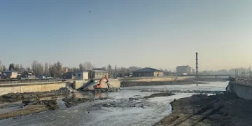 Ağrı’da don etkili oldu