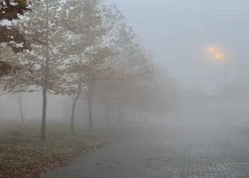 Sonbaharın renkleri ile sis birleşti