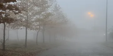Sonbaharın renkleri ile sis birleşti