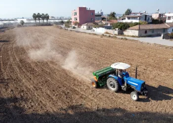 Verimli arazileri tarıma kazandırıyor