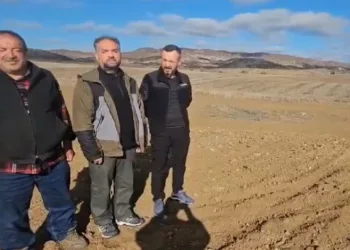 Nesli tehlike altındaki vaşağı görüntüledi