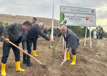 Nesli tehlike altındaki vaşağı görüntüledi