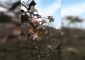 Görüş mesafesisi 20 metre