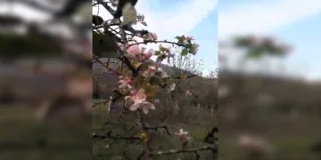 Görüş mesafesisi 20 metre
