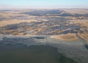 Türbe kendi haline terk edildi