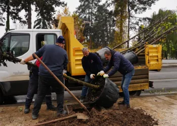 Geleceğe nefes bırakılıyor