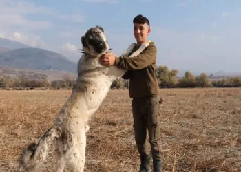 En güvendiği dostları