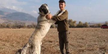 En güvendiği dostları