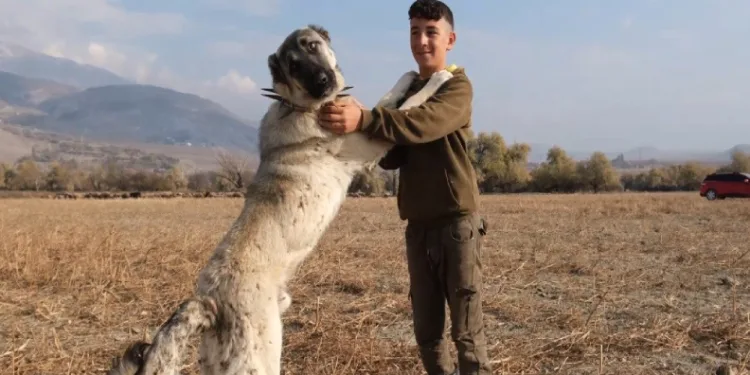 En güvendiği dostları