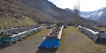 Araçların kışlık bakımı şart