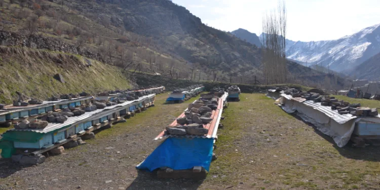 Araçların kışlık bakımı şart