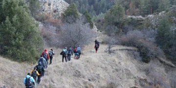 Arıların “tatlı uykusu”