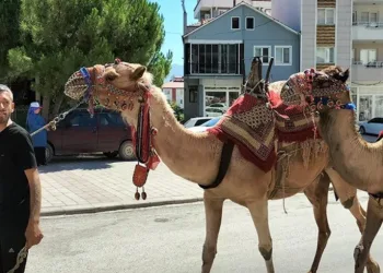 Yörük Çalıştayı hazırlıkları tamamlandı
