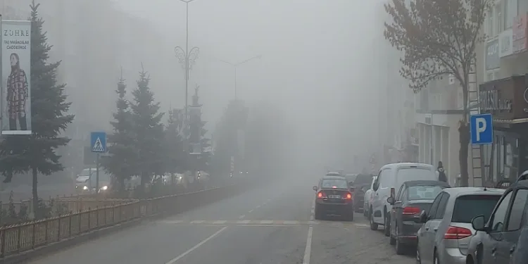 Kış lastiği zorunluluğu başladı